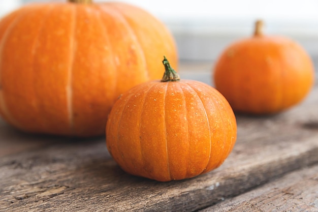 Close-up of pumpkin on table