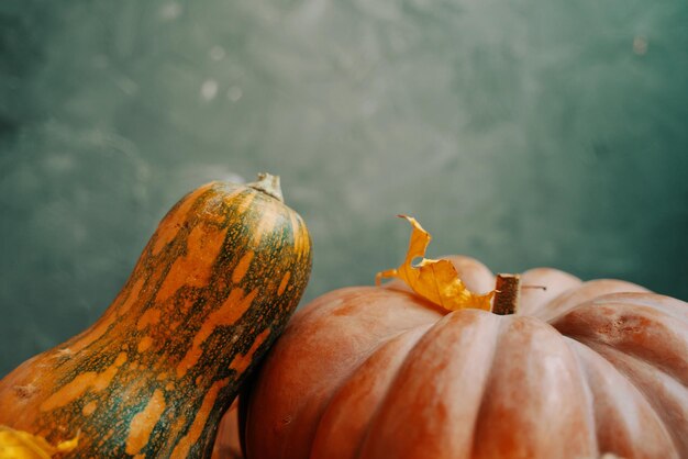 Photo close-up of pumpkin on wood during autumn