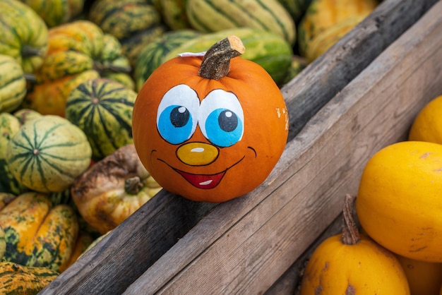 Foto prossimo piano di una zucca sul legno