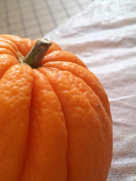 Photo close-up of pumpkin
