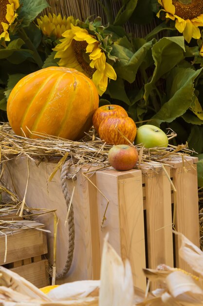 Photo close-up of pumpkin