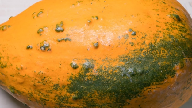 Photo close-up of pumpkin