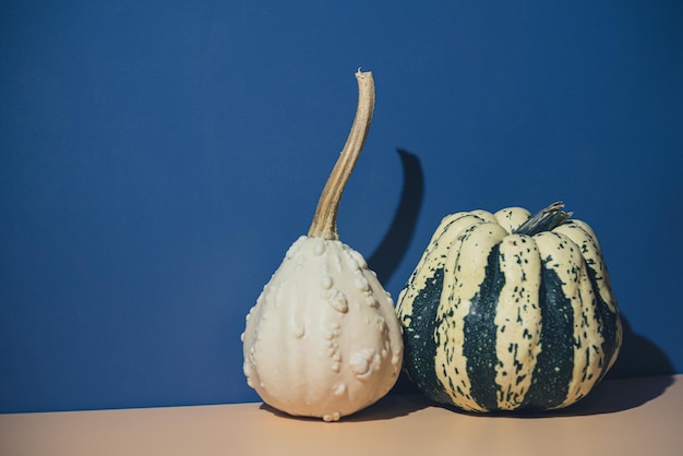 Foto prossimo piano della zucca