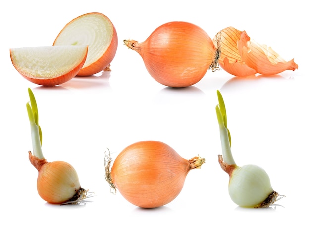 Close-up of pumpkins against white background