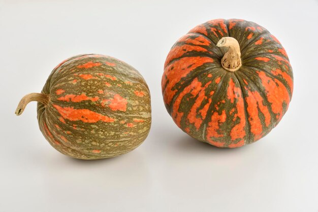 Close-up of pumpkins against white background