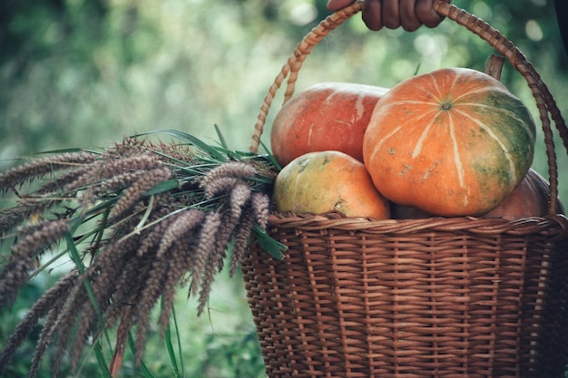 Photo close-up of pumpkins in basket