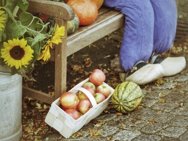 Photo close-up of pumpkins in container