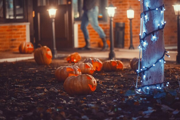 Photo close-up of pumpkins during autumn