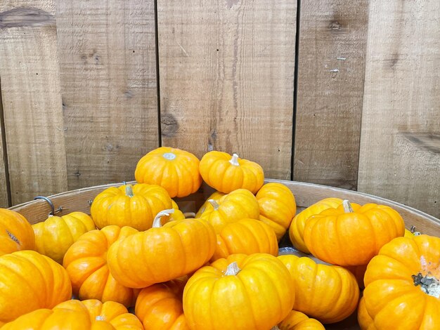 Close-up of pumpkins in market