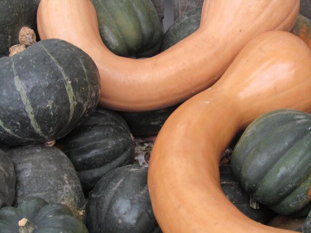 Photo close-up of pumpkins in market