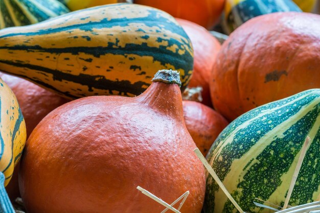 Close-up of pumpkins for sale at market stall