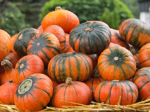 Close-up of pumpkins for sale at market stall