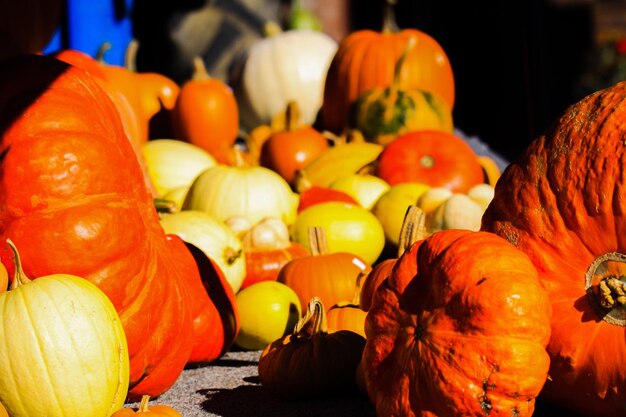 Close-up of pumpkins for sale at market stall