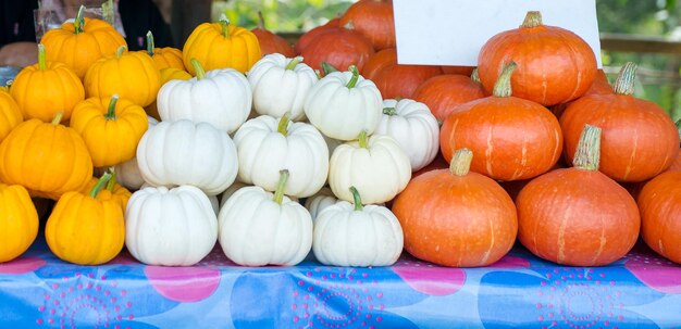 Close-up of pumpkins for sale at market stall