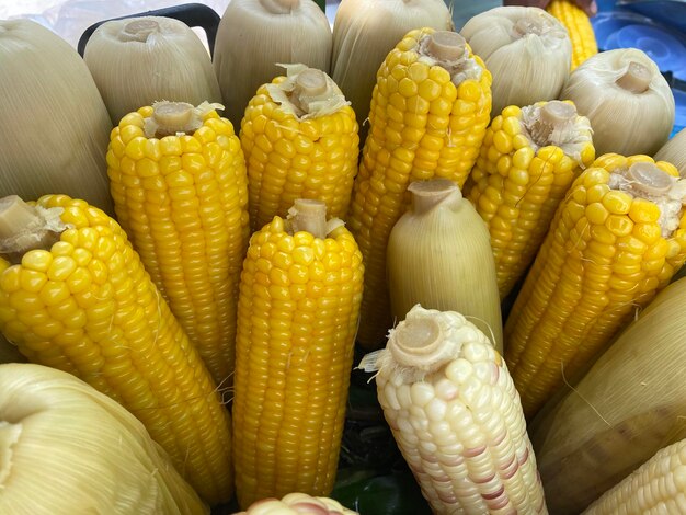 Close-up of pumpkins for sale in market