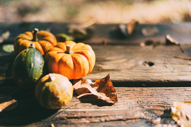 Photo close-up of pumpkins on wood