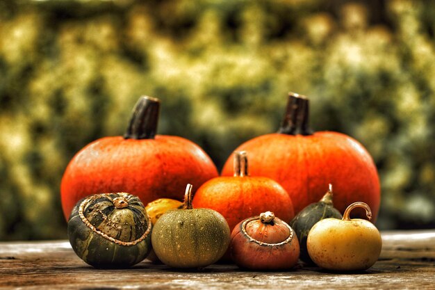 Photo close-up of pumpkins on wood