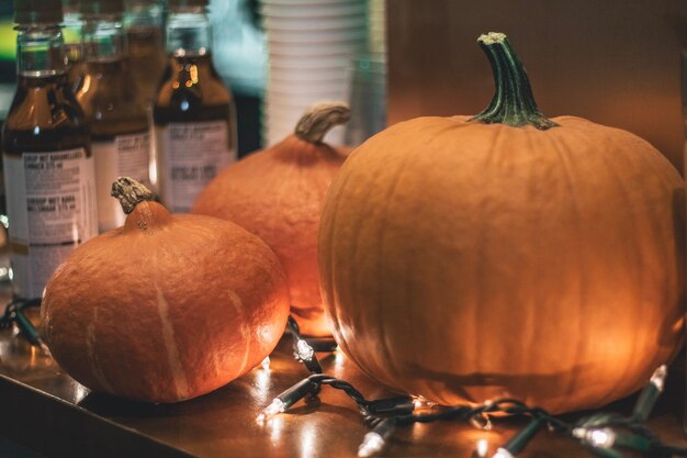 Close-up of pumpkins