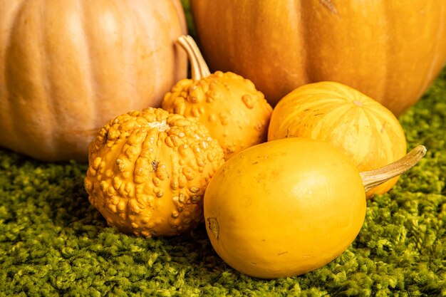 Close-up of pumpkins