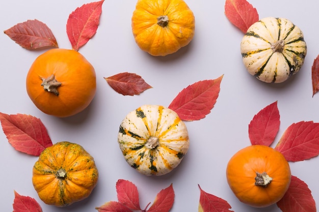 Close-up of pumpkins