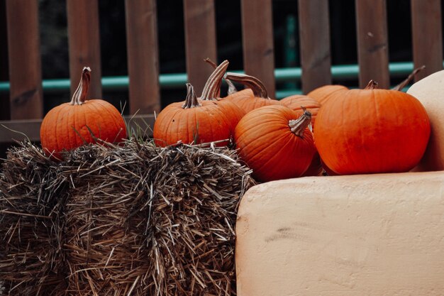 Photo close-up of pumpkins