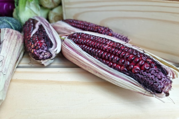 Close up Purple corn as a texture