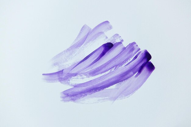 Photo close-up of purple flower against white background