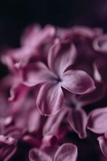 「on it.」と書かれた紫色の花の接写。