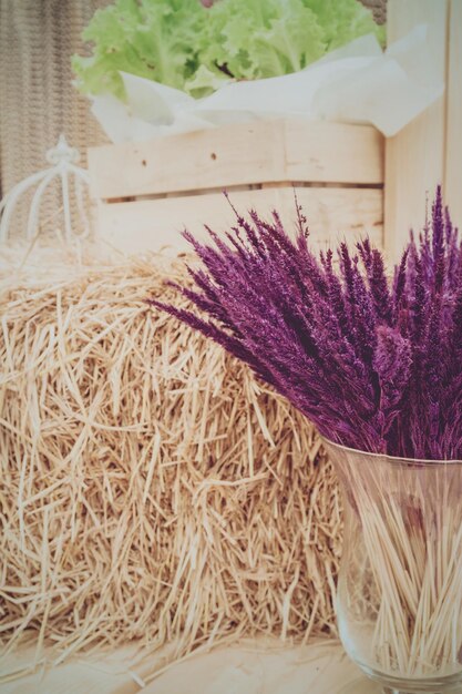 Photo close-up of purple flowering plant