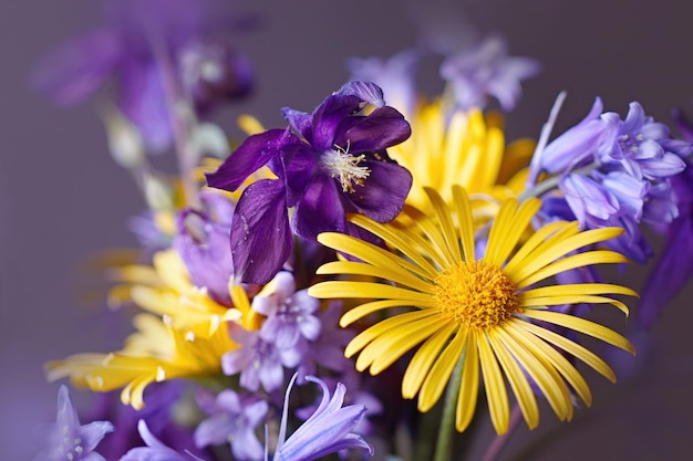 Photo close-up of purple flowering plant