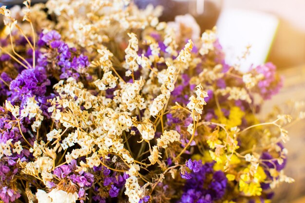 Foto prossimo piano di una pianta a fiori viola