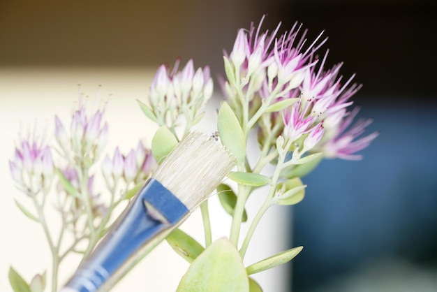 Foto prossimo piano di una pianta a fiori viola