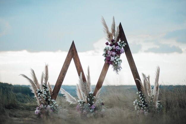 Photo close-up of purple flowering plants on field against sky