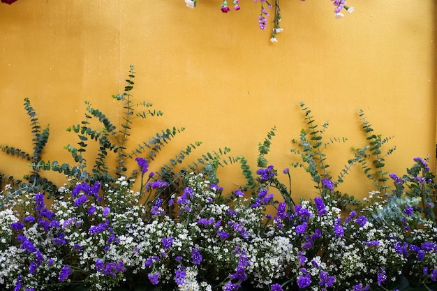 Close-up of purple flowering plants on field