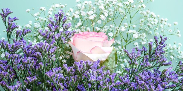 Foto close-up di piante a fiori viola