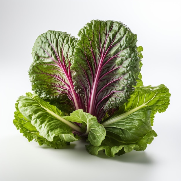 Photo a close up of a purple lettuce