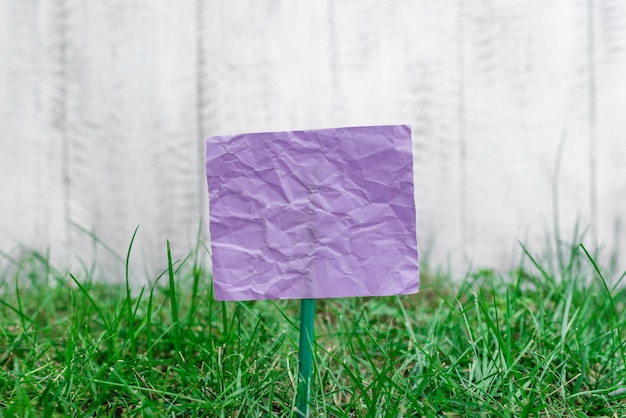 Close-up of purple paper on field