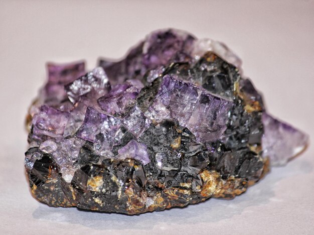 Close-up of purple on rock