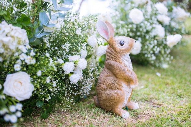 Photo close-up of a rabbit on field