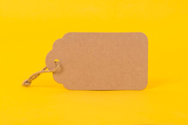 Close-up of a rabbit on yellow background