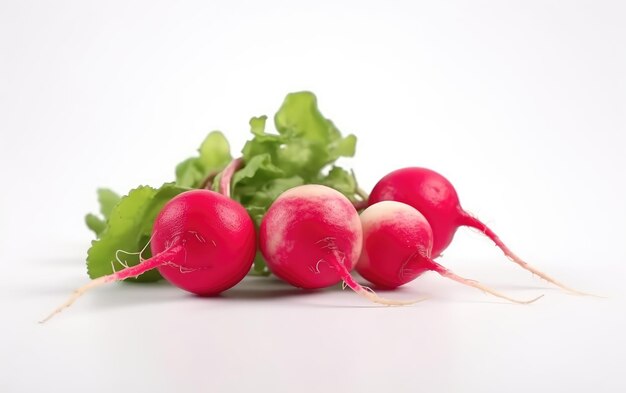 A close up radish isolated on a white background vegan fresh vegetables ai generated