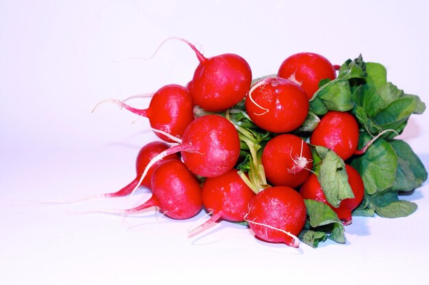 Close-up of radishes over white background