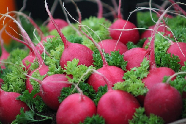 Photo close-up of radishes