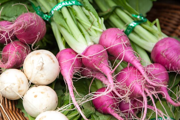 Close-up of radishes