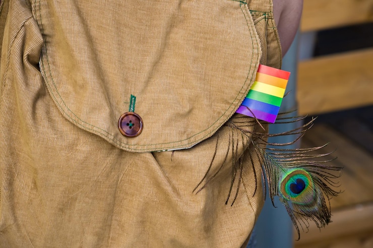 Photo close-up of rainbow flag and peacock feather in backpack