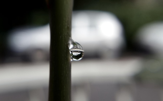 Close-up of raindrop on stem with reflection of car
