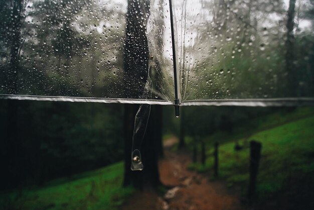 Foto close-up di gocce di pioggia su una finestra di vetro