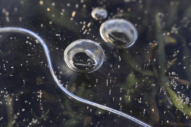 Foto close-up di gocce di pioggia su vetro