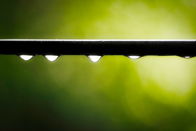 Photo close-up of raindrops on green leaf