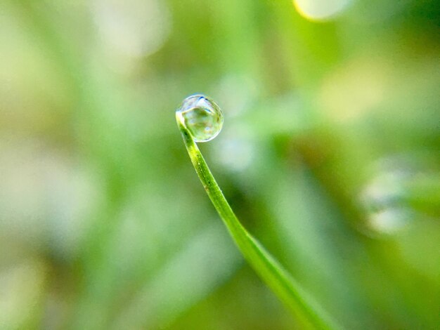 Close-up of raindrops on leaf